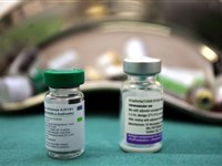 Campanha de vacinação contra a gripe - Ver mais